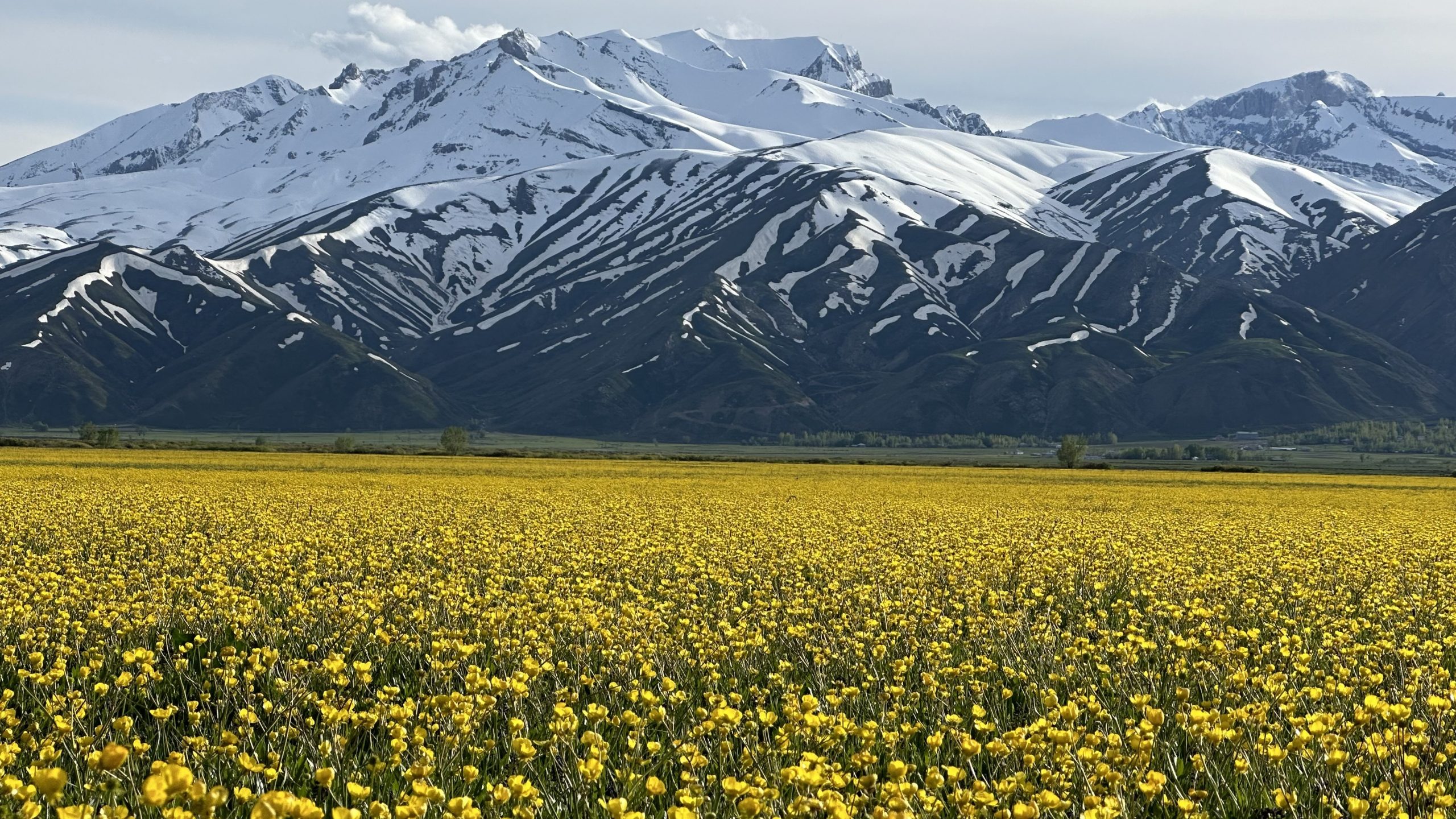 Ölmez Madencilik | Biyoçeşitlilik Çalışmalarımız